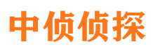 元宝外遇调查取证